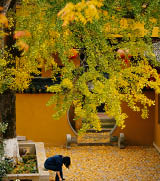                                Processed with VSCO with c3 preset