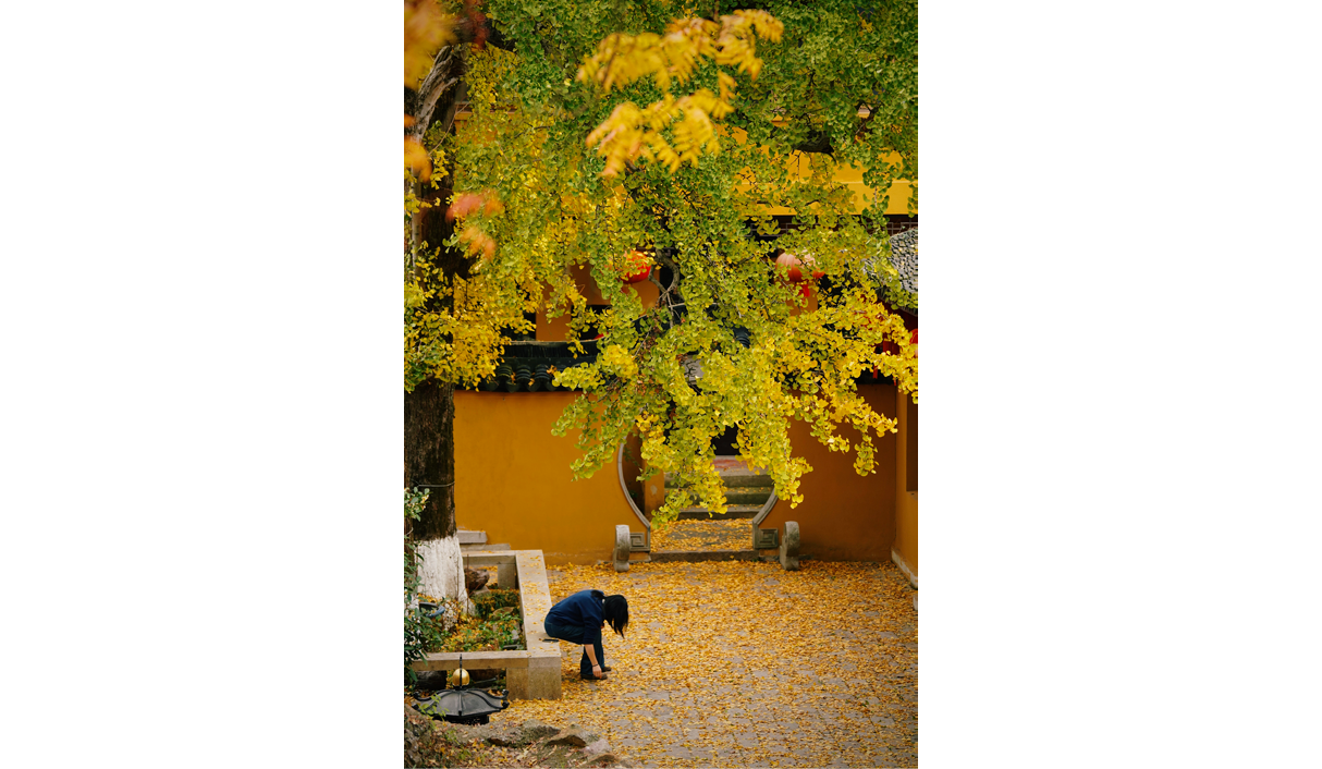                                Processed with VSCO with c3 preset