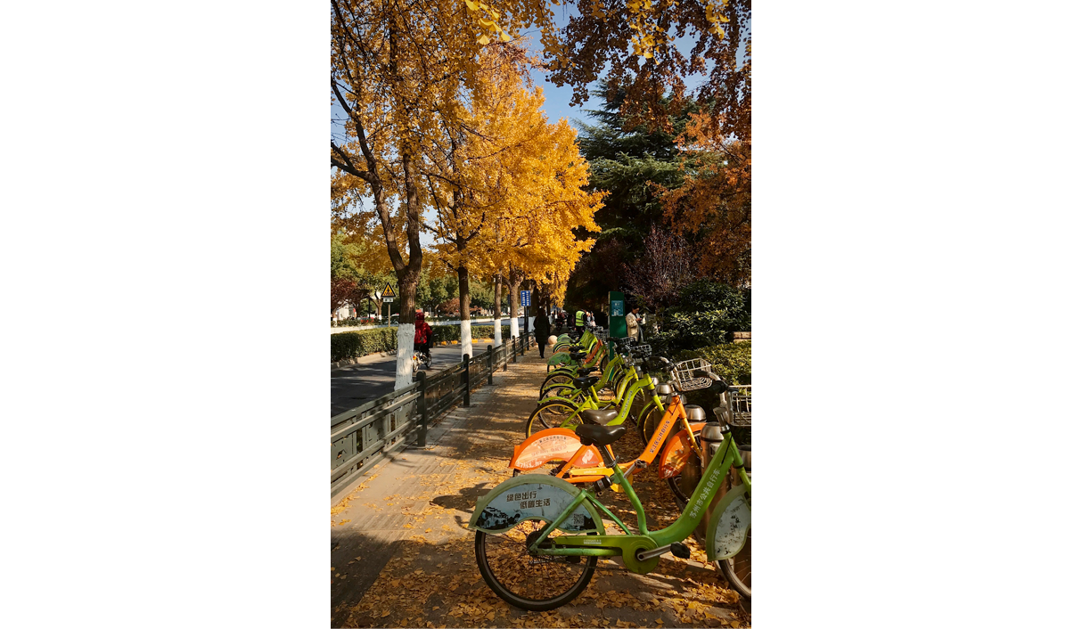 Processed with VSCO with kk2 preset