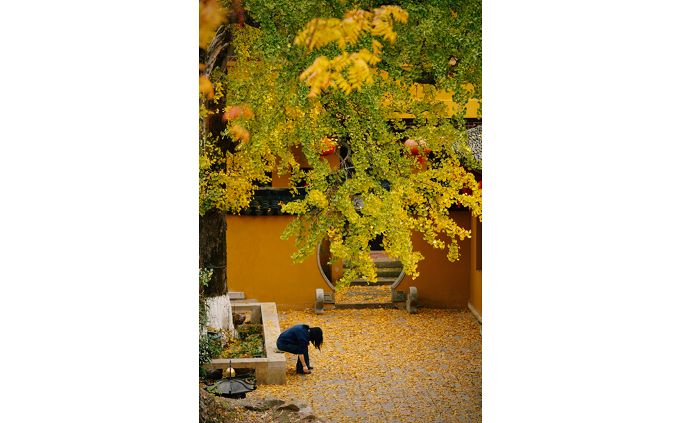                                Processed with VSCO with c3 preset