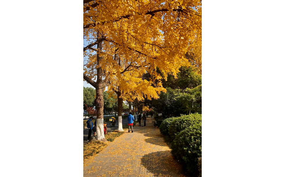 Processed with VSCO with kk2 preset