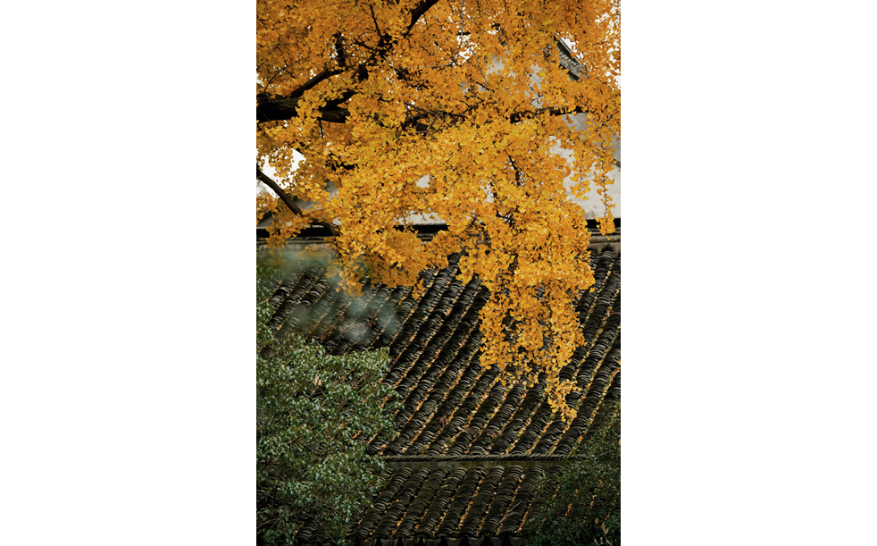                                Processed with VSCO with j6 preset