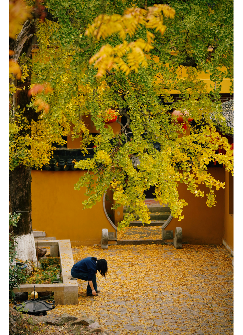                                Processed with VSCO with c3 preset