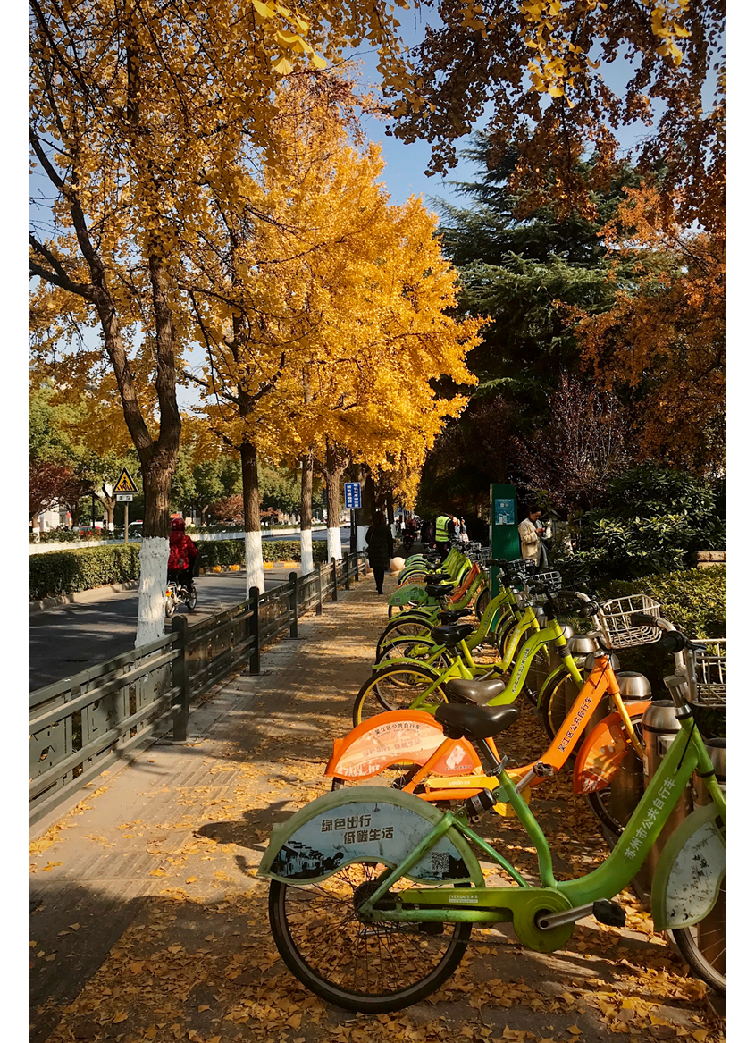 Processed with VSCO with kk2 preset