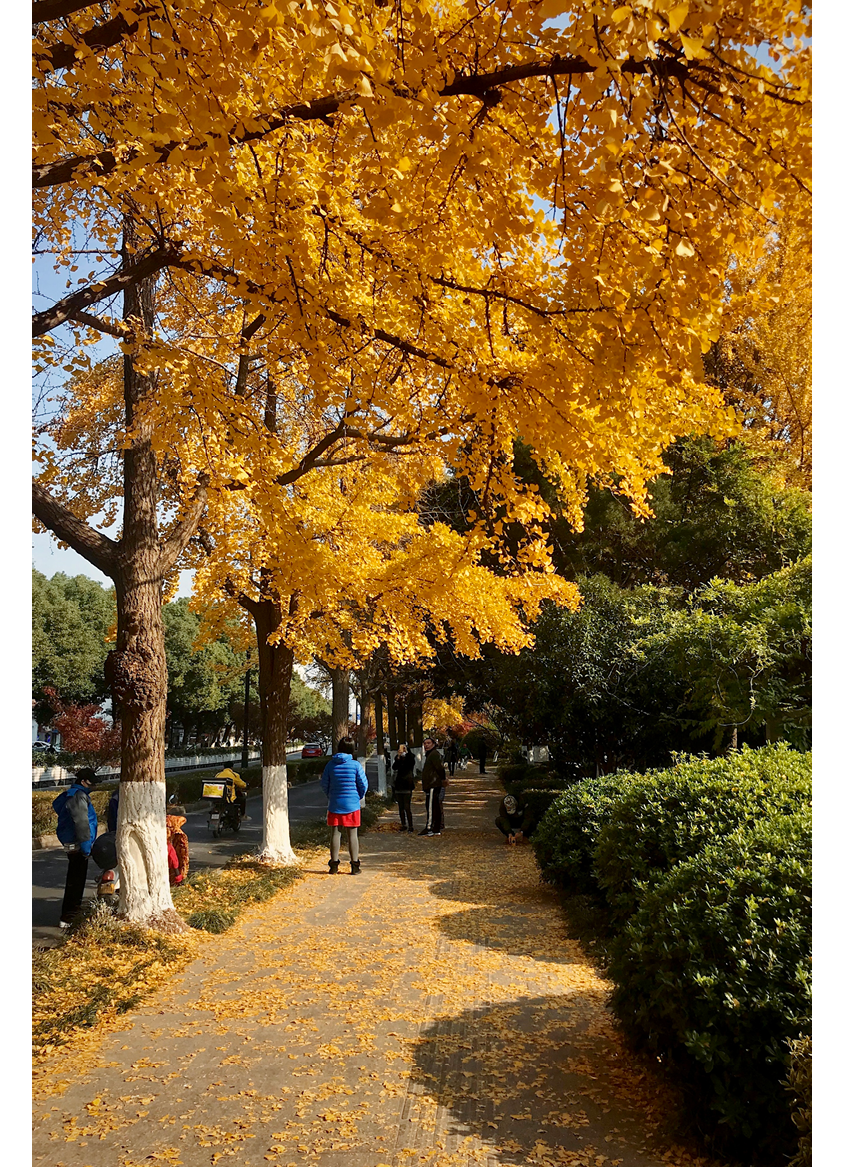 Processed with VSCO with kk2 preset