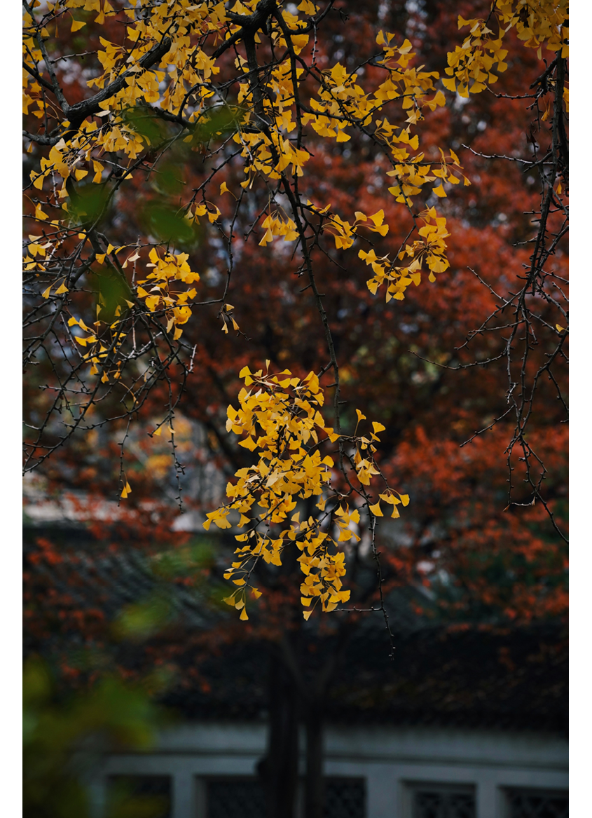                                Processed with VSCO with c6 preset