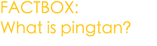 FACTBOX: What is pingtan?