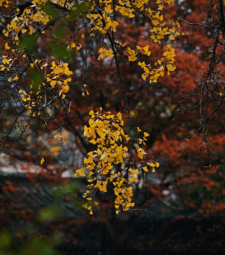                                Processed with VSCO with c6 preset