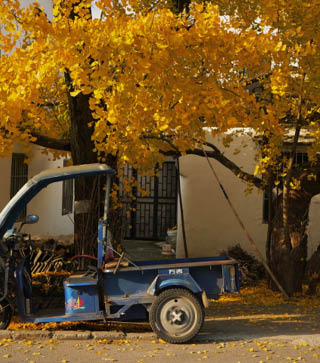                                Processed with VSCO with l10 preset