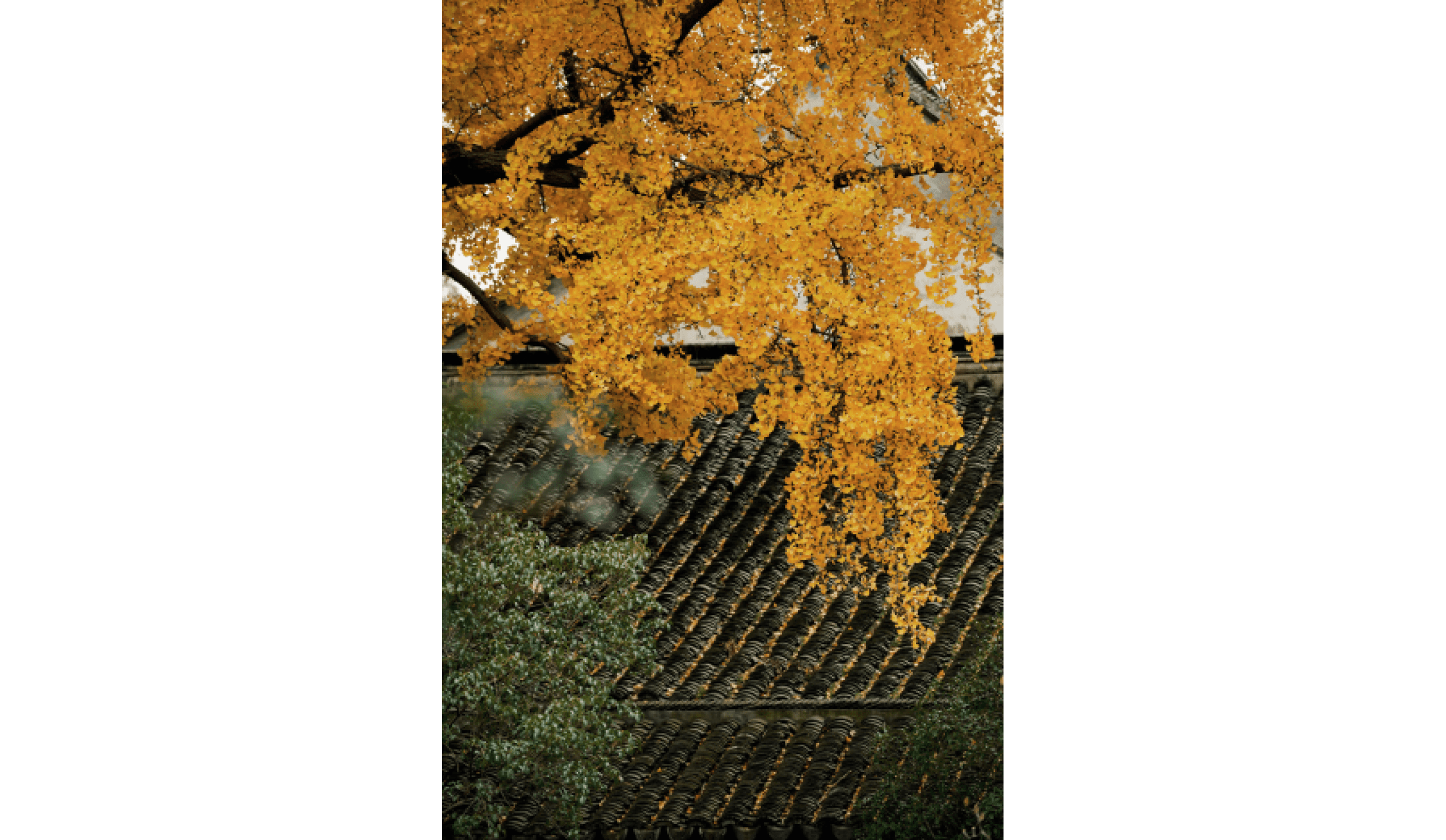                                Processed with VSCO with j6 preset