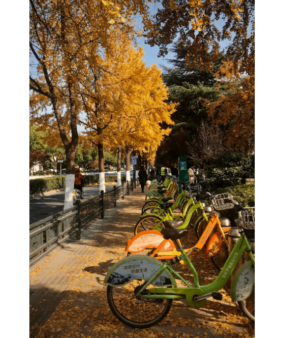 Processed with VSCO with kk2 preset