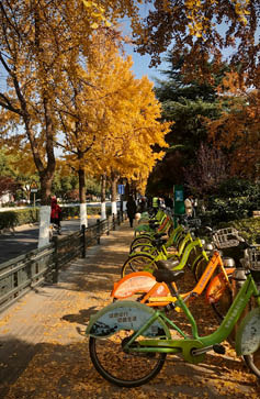 Processed with VSCO with kk2 preset