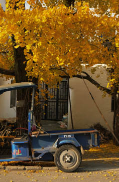                                Processed with VSCO with l10 preset