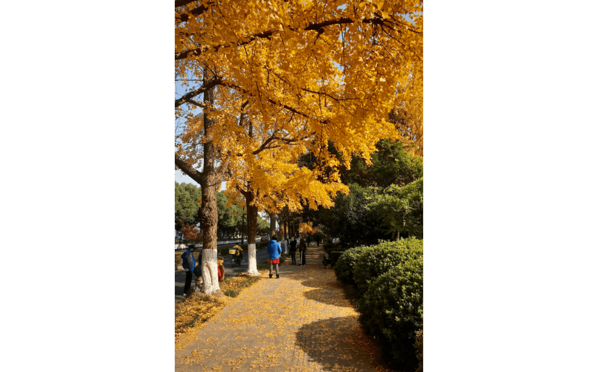 Processed with VSCO with kk2 preset