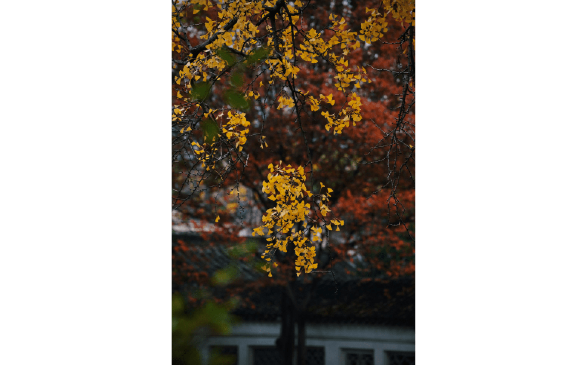                                Processed with VSCO with c6 preset